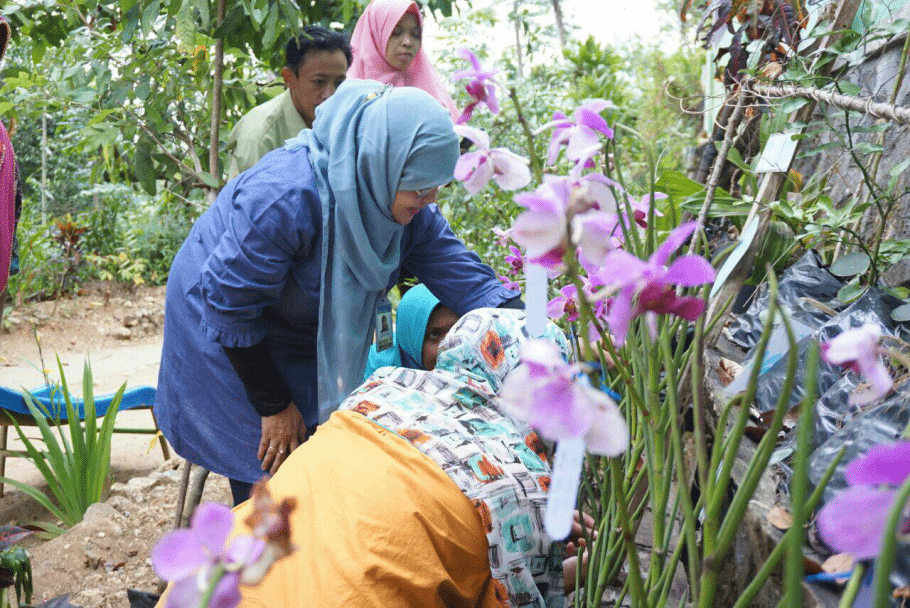 Pelatihan Produksi Dan Perawatan Tanaman Anggrek Untuk Kelompok Tani