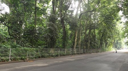 Biology Garden