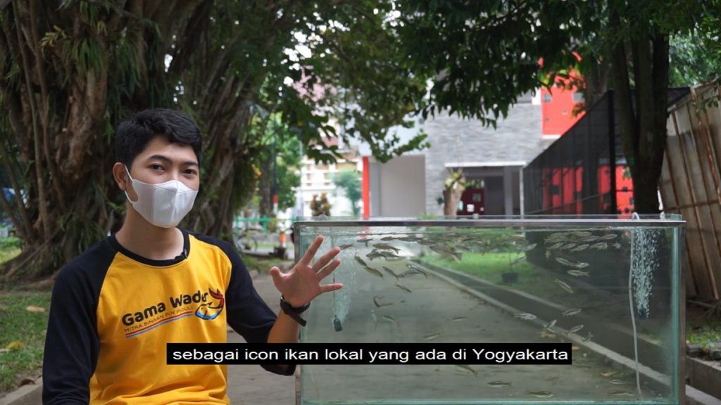 Mahasiswa Biologi Raih Juara II Lomba Video Konservasi Keanekaragaman ...