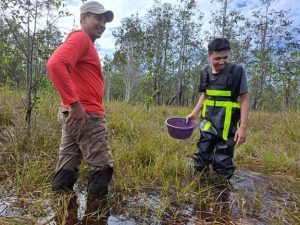 Kegiatan Penelitian Biota Air Tawar di Danau Siran oleh Dosen Fakultas Biologi UGM