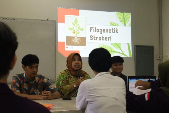 Highlighting the Phylogenetics of Strawberries, Formasigen Hosts Gentalk 2