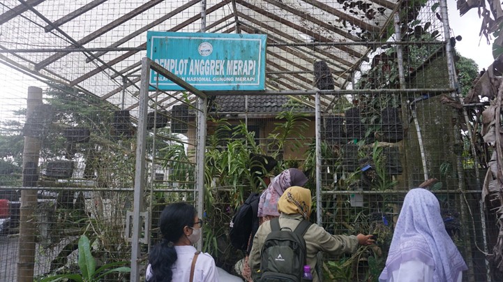 MBKM Penelitian Anggrek Fakultas Biologi UGM Melakukan Kunjungan dan Koordinasi ke Balai Taman Nasional Gunung Merapi (BTNGM)