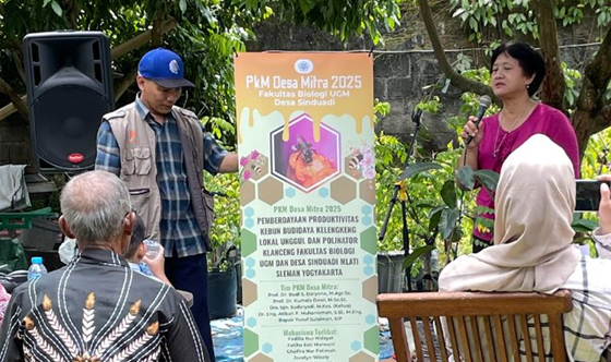 Kemajuan PkM Desa Mitra Sinduadi : Sosialisasi, Studi Lapang, dan Pemantauan “Pemberdayaan Produktivitas Kebun Budidaya Kelengkeng Lokal Unggul dan Polinator Klanceng di Kebun Sawetsari Fakultas Biologi UGM”