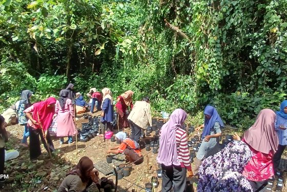 [PkM-MBKM 2025] Pelatihan Budidaya Tanaman Sayuran dan TOGA dalam Polybag di Dusun Geger, Seloharjo, Pundong, Bantul