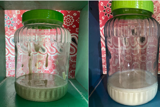Mahasiswa UGM Kembangkan Yoghurt Probiotik Berbasis Porang sebagai Inovasi Pangan Fungsional