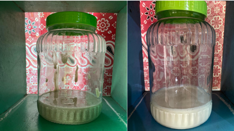 Mahasiswa UGM Kembangkan Yoghurt Probiotik Berbasis Porang sebagai Inovasi Pangan Fungsional