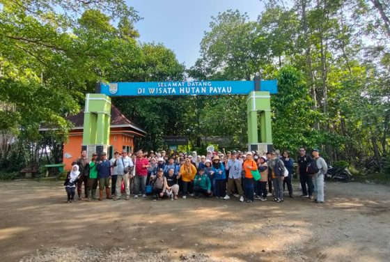 Fakultas Biologi UGM Gelar Kerja Praktik Terjadwal di Hutan Payau Cilacap untuk Mendukung SDGs