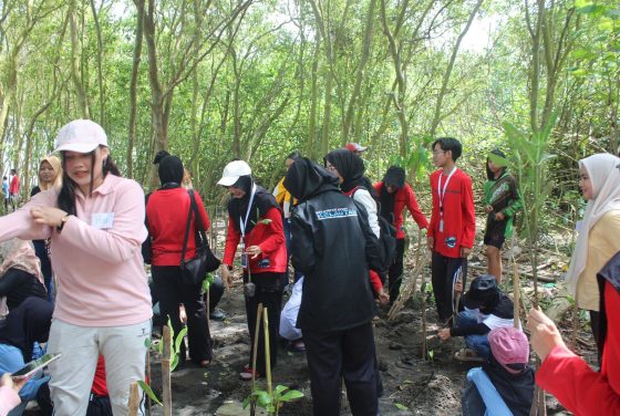 Oceans Day 2025 oleh Kelompok Studi Kelautan