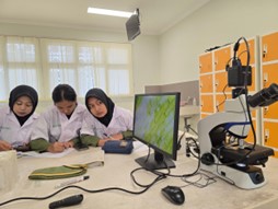 Pelatihan Anatomi Tumbuhan untuk Mahasiswa Politeknik Pembangunan Pertanian (Polbangtan) Yogyakarta-Magelang di Fakultas Biologi UGM