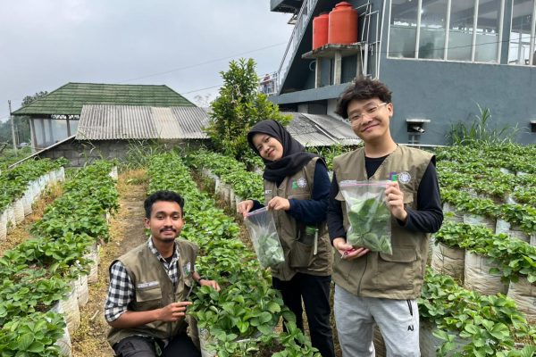 WhatsApp Image 2025-12-14 at 05.17.21_c59ad08d