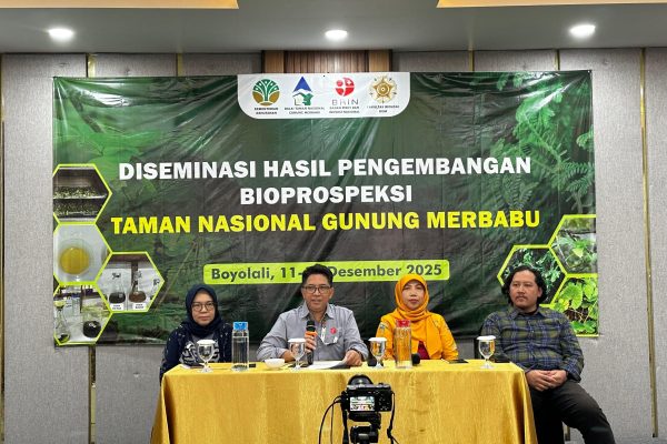 WhatsApp Image 2025-12-16 at 15.05.01 (1)