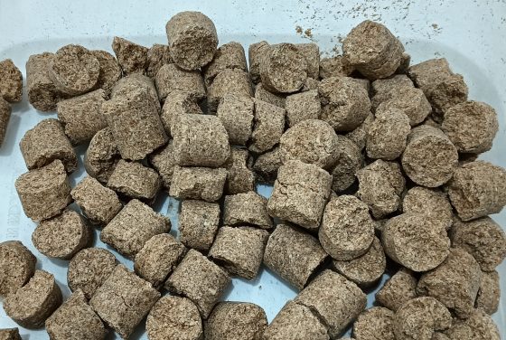 Jenis kandang terstandar