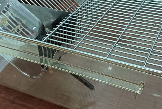 Gedung Animal House Fakultas Biologi UGM