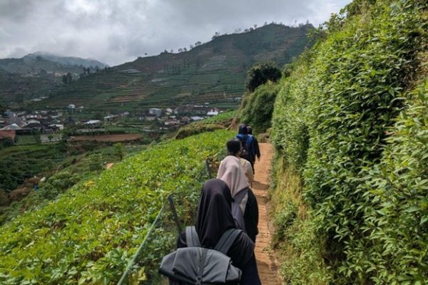 Matalabiogama Bismo 2