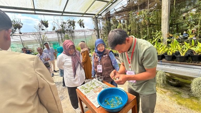 Tim Anggrek Fakultas Biologi UGM melaksanakan Kegiatan PMKI Dalam Rangka Pengembangan Eko-eduwisata Anggrek di Lereng Gunung Lawu untuk Mendorong Ekonomi Berkelanjutan