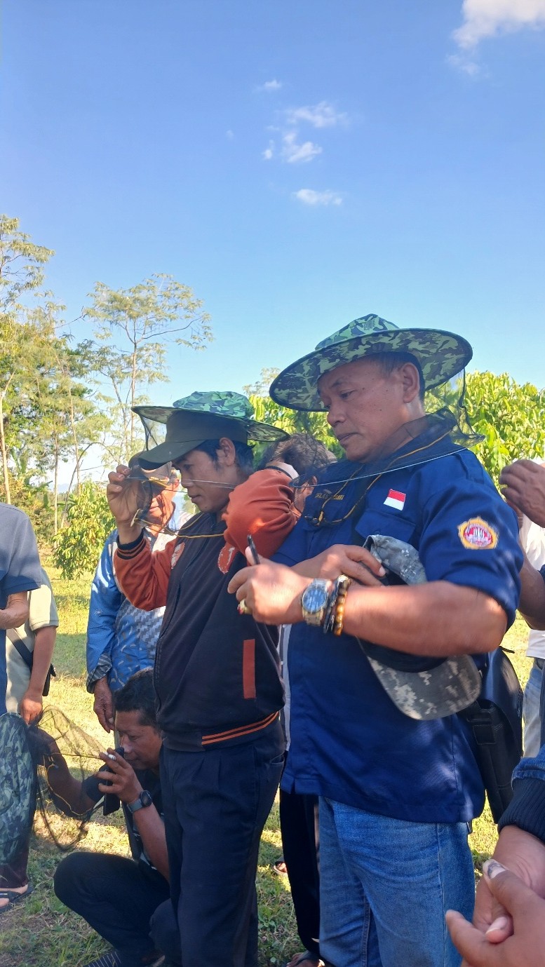 lebah madu 2026 1