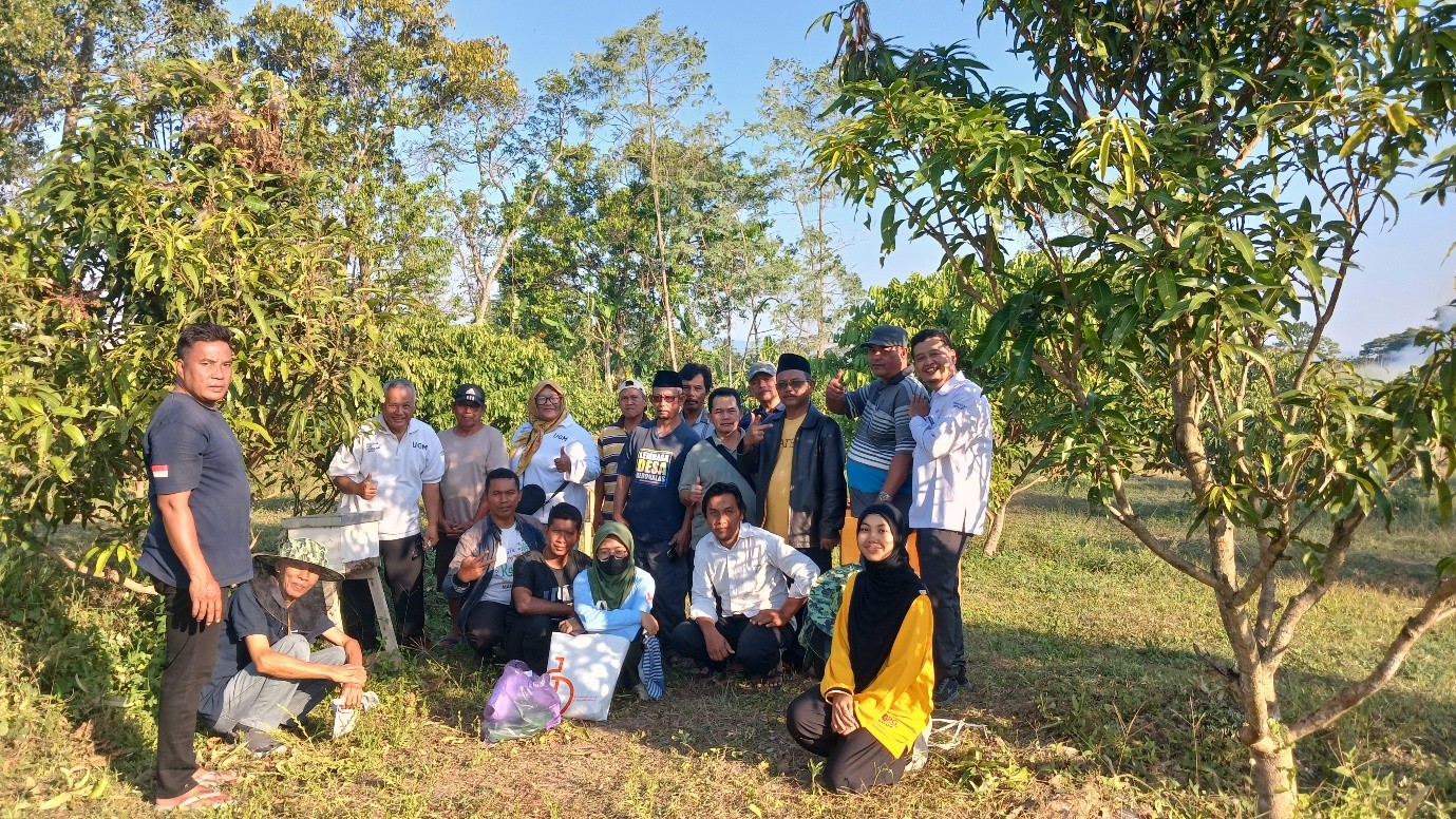 lebah madu 2026 8