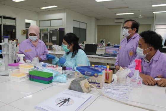 Laboratorium Genetika dan Pemuliaan Fakultas Biologi UGM Gelar Pelatihan Teknik Sitogenetika, Genetika Molekuler, dan Bioinformatika #8 dengan Topik Analisis Variasi dan Kelainan Genetik Berbasis Next Generation Sequencing dan Bioinformatika pada Hari Kedua