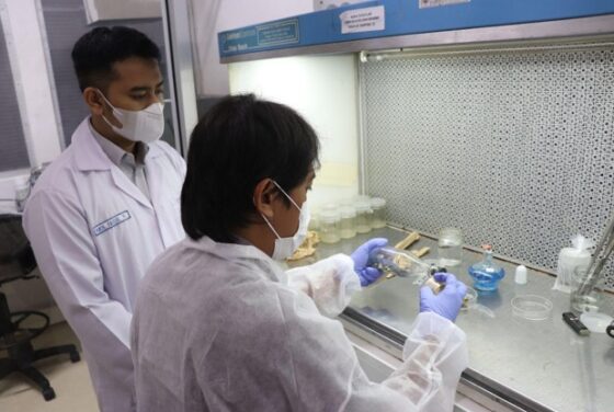 Fakultas Biologi UGM Perkuat Ekoeduwisata Anggrek Kawasan Ngargoyoso-Tawangmangu melalui Pelatihan Kultur Jaringan/In Vitro