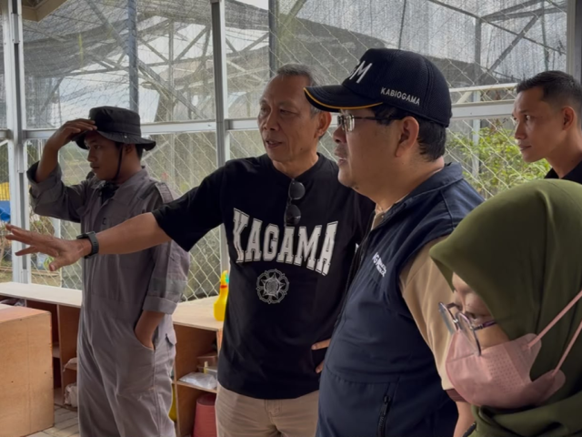 Peninjauan dan Evaluasi Kandang Pembibitan Final Stock Ayam MAHAR oleh Tim Hibah Inovasi PRIMESTEP di Balikpapan, Kalimantan Timur