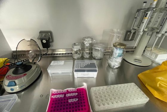 Tim Fakultas Biologi UGM Menginisiasi Penelitian Deteksi Virus pada Tanah Pertanian sebagai Indikator Risiko Kesehatan Lingkungan