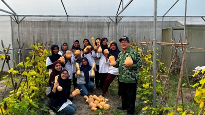 Tim Pengabdian kepada Masyarakat Fakultas Biologi UGM Laksanakan Panen Perdana Labu Susu CITRALAGA di Dusun Kebondalem, Sleman