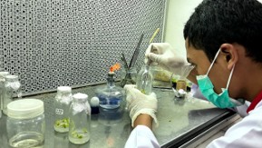 From Curiosity to Capability: Pelatihan Kultur Jaringan dan Budidaya Anggrek, BiOSC Dorong Penguasaan Keterampilan Laboratorium melalui LabSkill