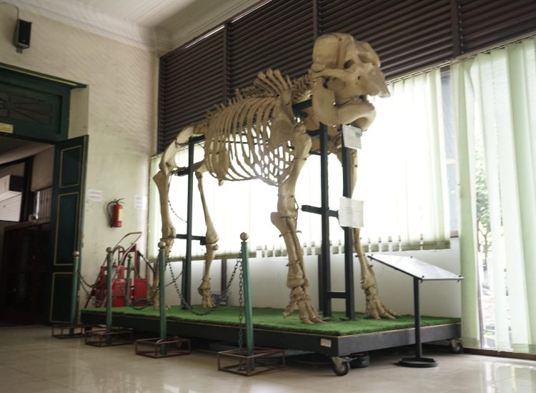 Museum Gajah-min